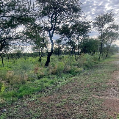 💕💖OMNIA TEAM 💖💕 Siyanda Mkhwanazi post image