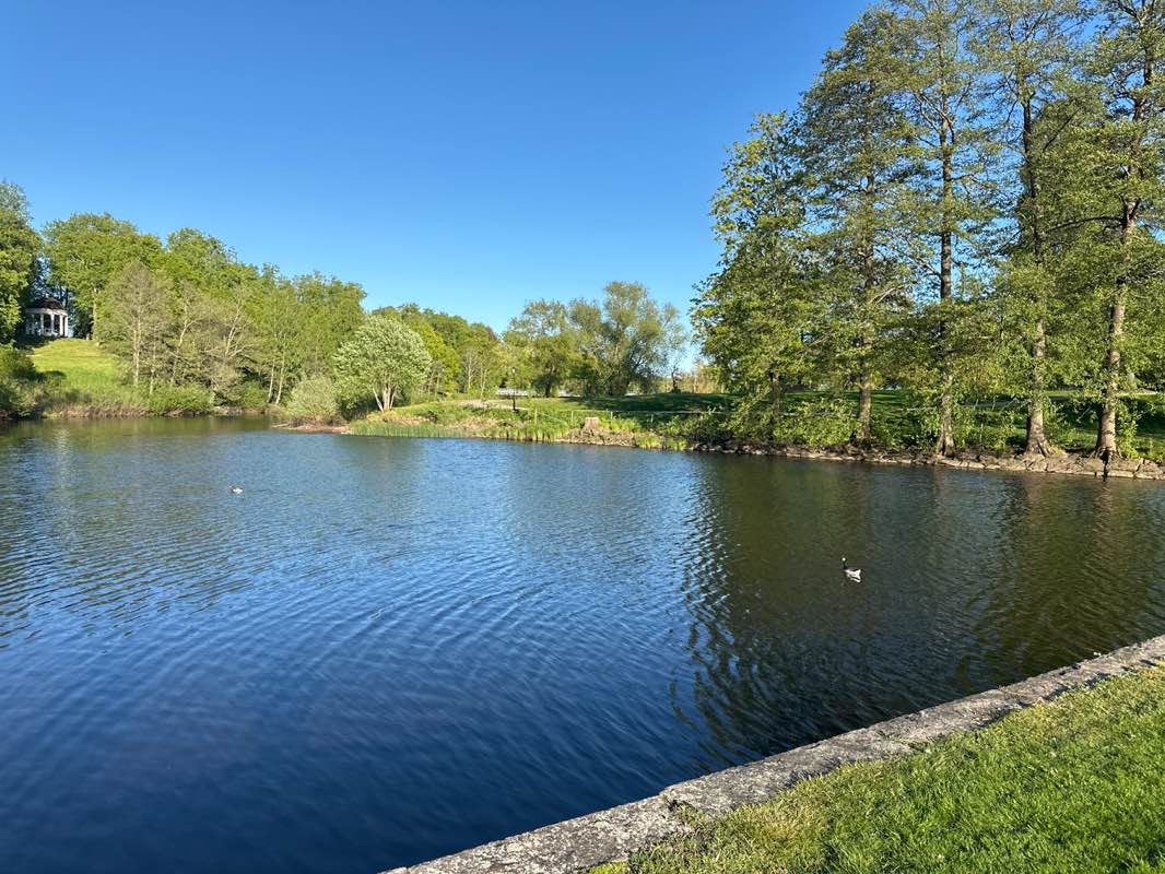 walking near me in Slottsparken in spring