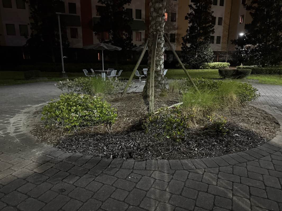 walking near me in Tower III and IV Courtyard in spring