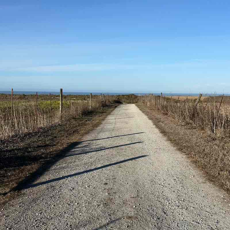 Ashleysayque Step Challenges STEPHANIE post image