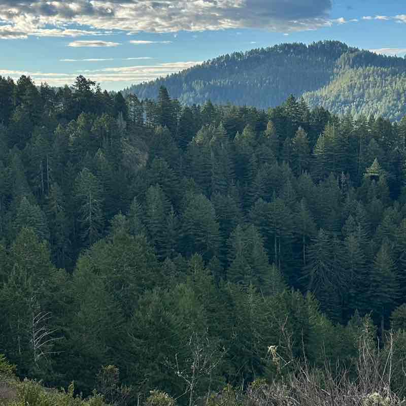 Ashleysayque Step Challenges STEPHANIE post image