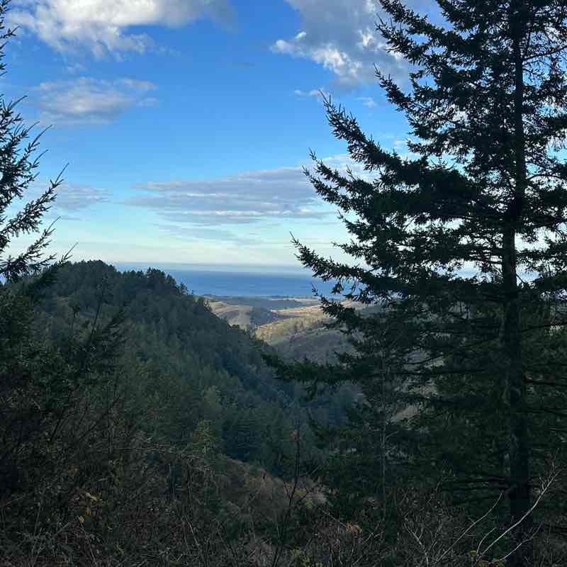 Ashleysayque Step Challenges STEPHANIE post image