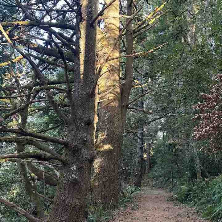 Ashleysayque Step Challenges STEPHANIE post image