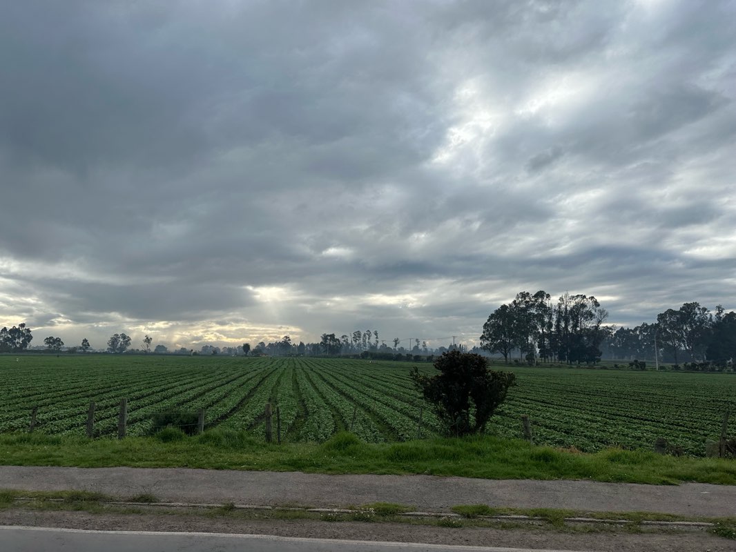 walking near me in Parque Alameda Lineal La Prosperidad in winter