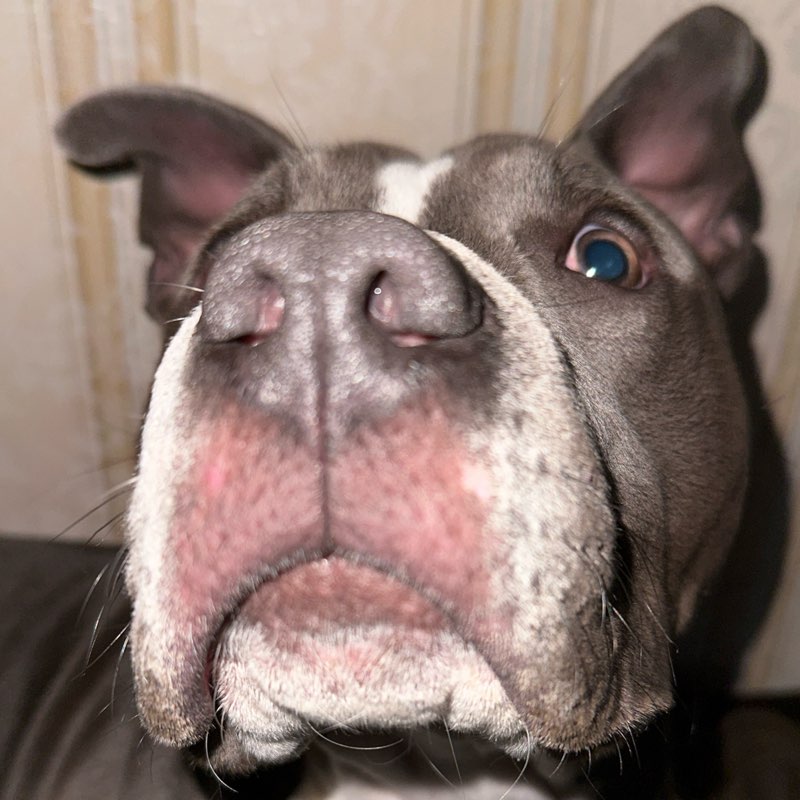 Плотва profile