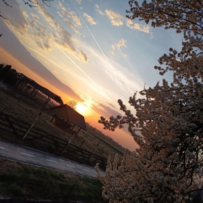 Elite Don.Vladu post image