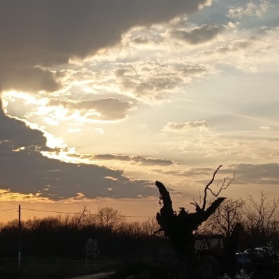 Elite Don.Vladu post image