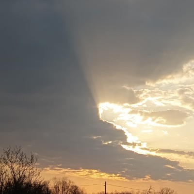 Elite Don.Vladu post image