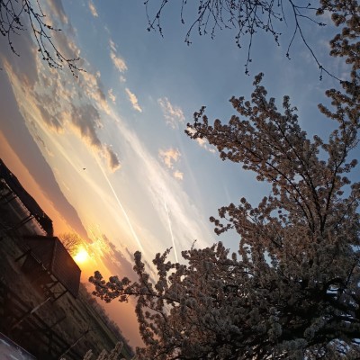 Elite Don.Vladu post image