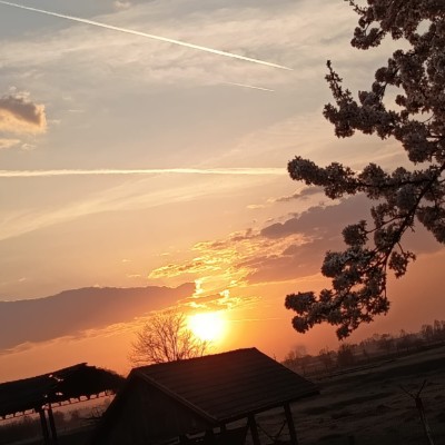 Elite Don.Vladu post image