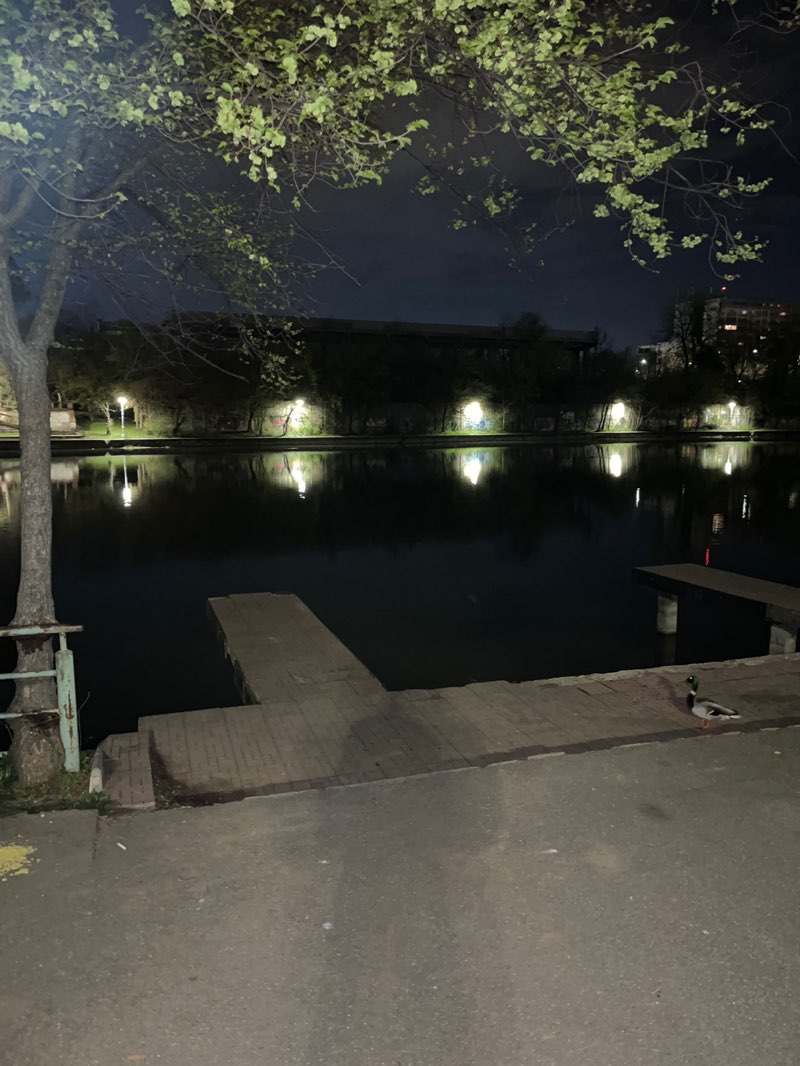 walking near me in Parcul Național in spring