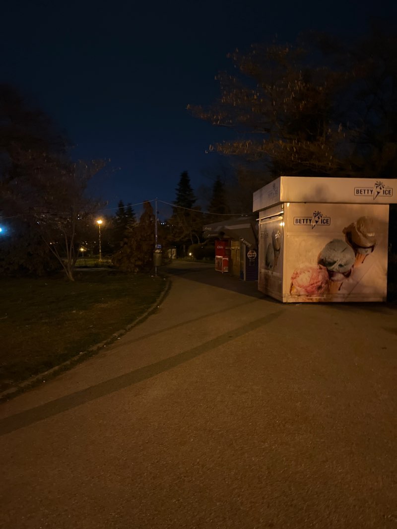 walking near me in Parcul Circului in spring
