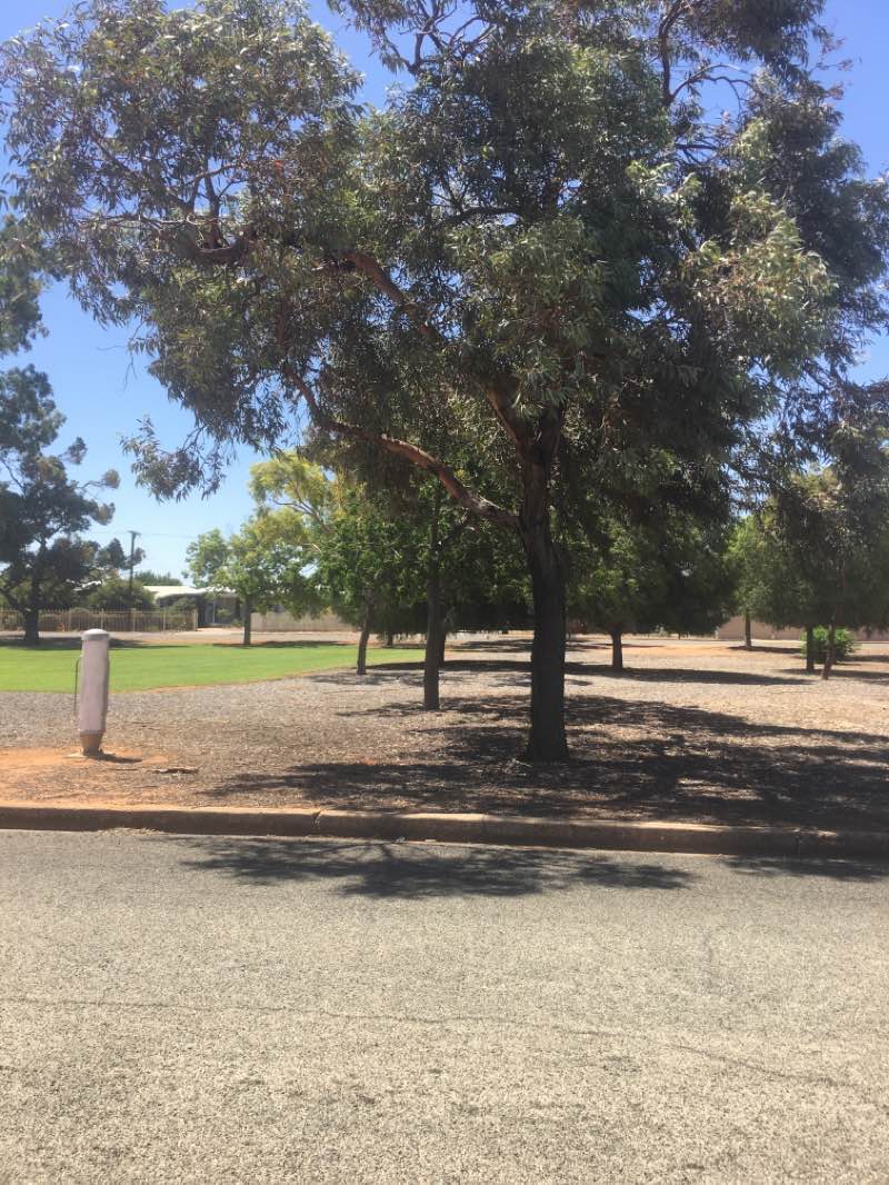 walking near me in Plenty Street Park, Risdon Park South in summer