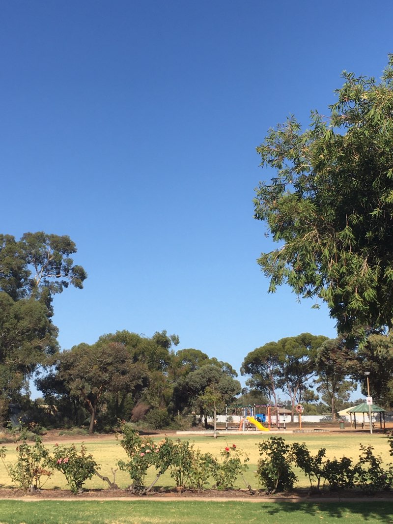 walking near me in Port Pirie West Reserve in summer