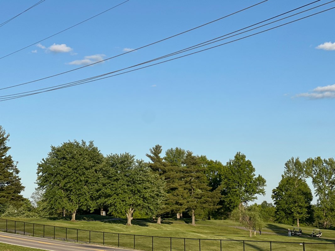 walking near me in Fox Run Park in spring