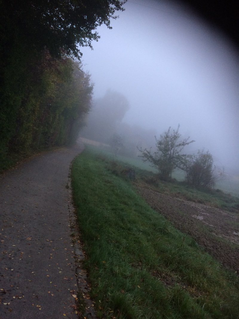 walking near me in Klinik-Park in winter
