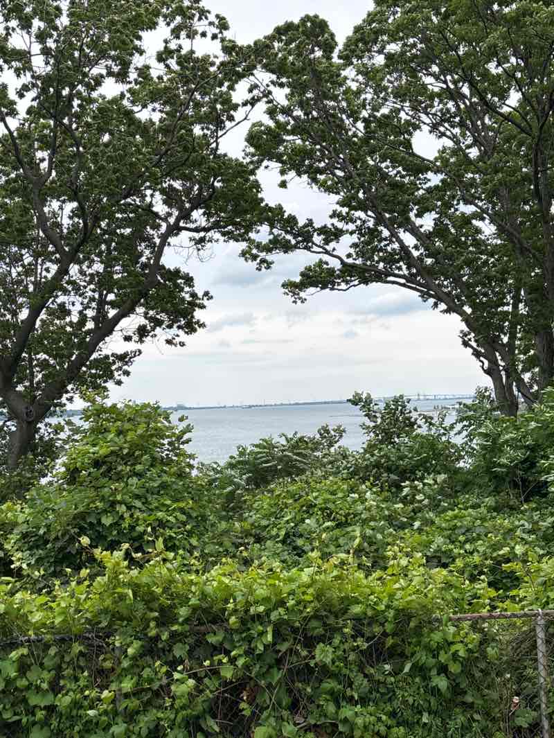 walking near me in Dundurn Park in summer
