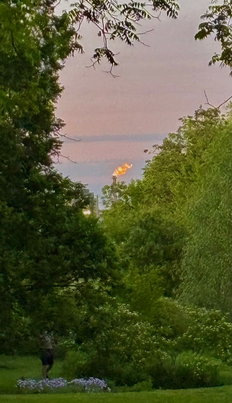 walking near me in Gage Park in summer