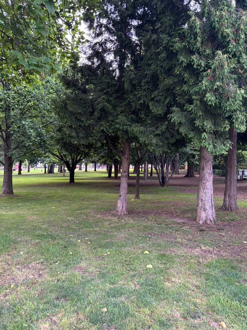 walking near me in Gage Park in summer