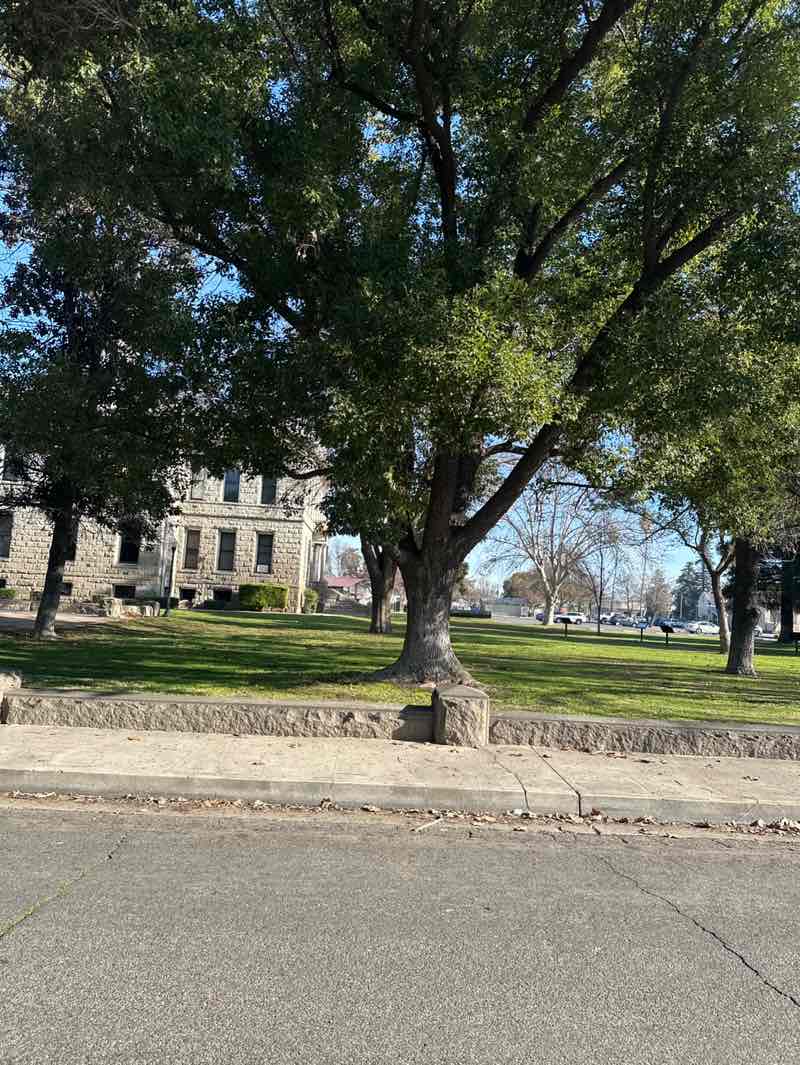 walking near me in Courthouse Park in winter