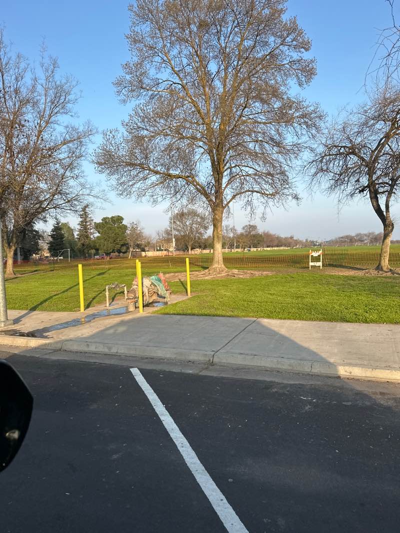 walking near me in Millview Park in winter