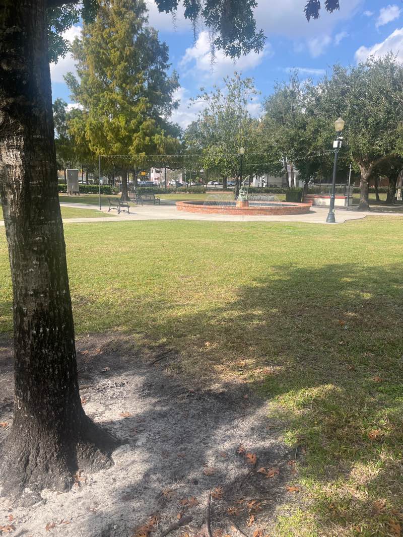walking near me in Central Park in autumn