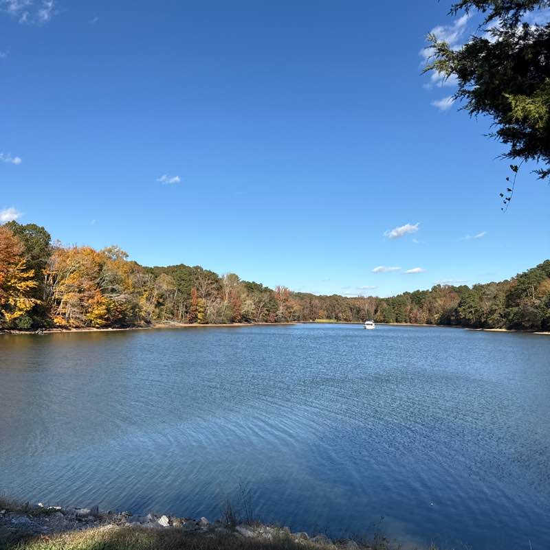 Dont Look Now post 1