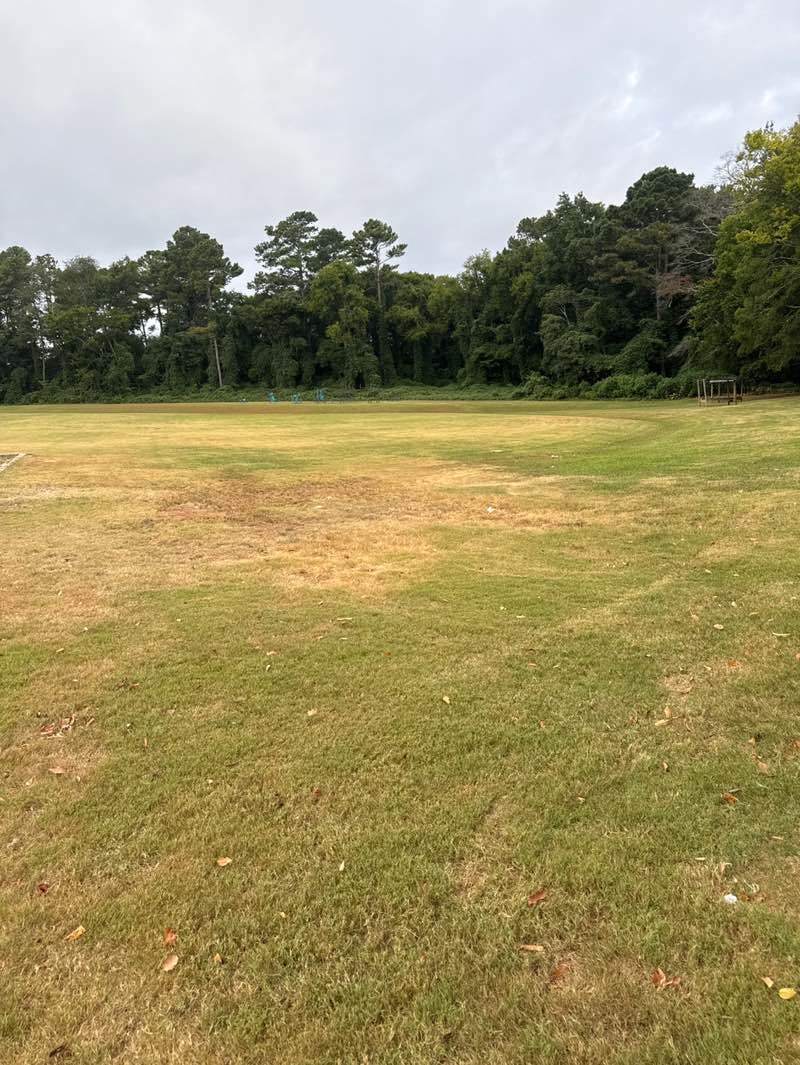 walking near me in Phillips Park in autumn