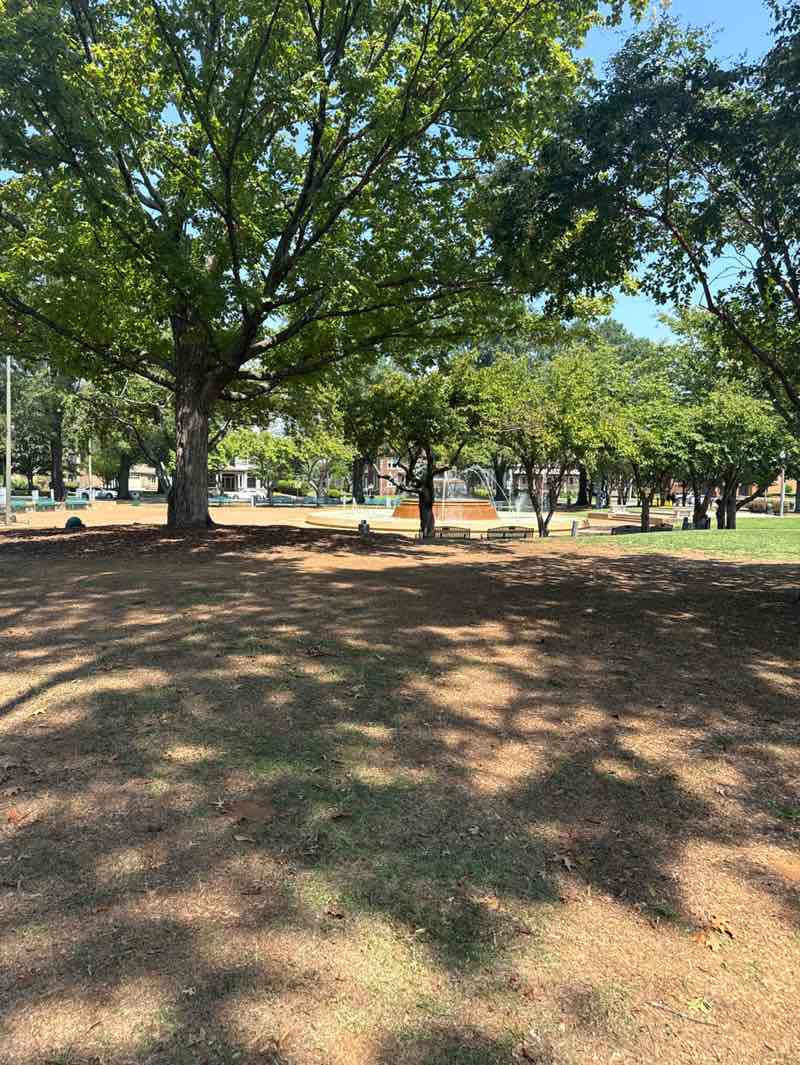 walking near me in Wilson Park in autumn