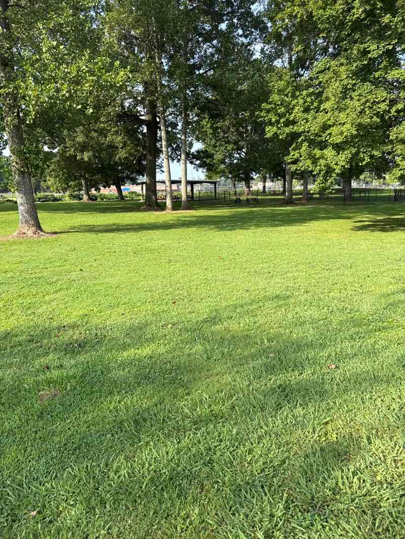 walking near me in Washington Park in autumn