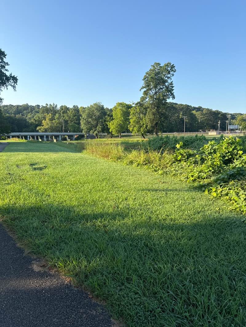 walking near me in Dayton Walking Track Section 1 in autumn
