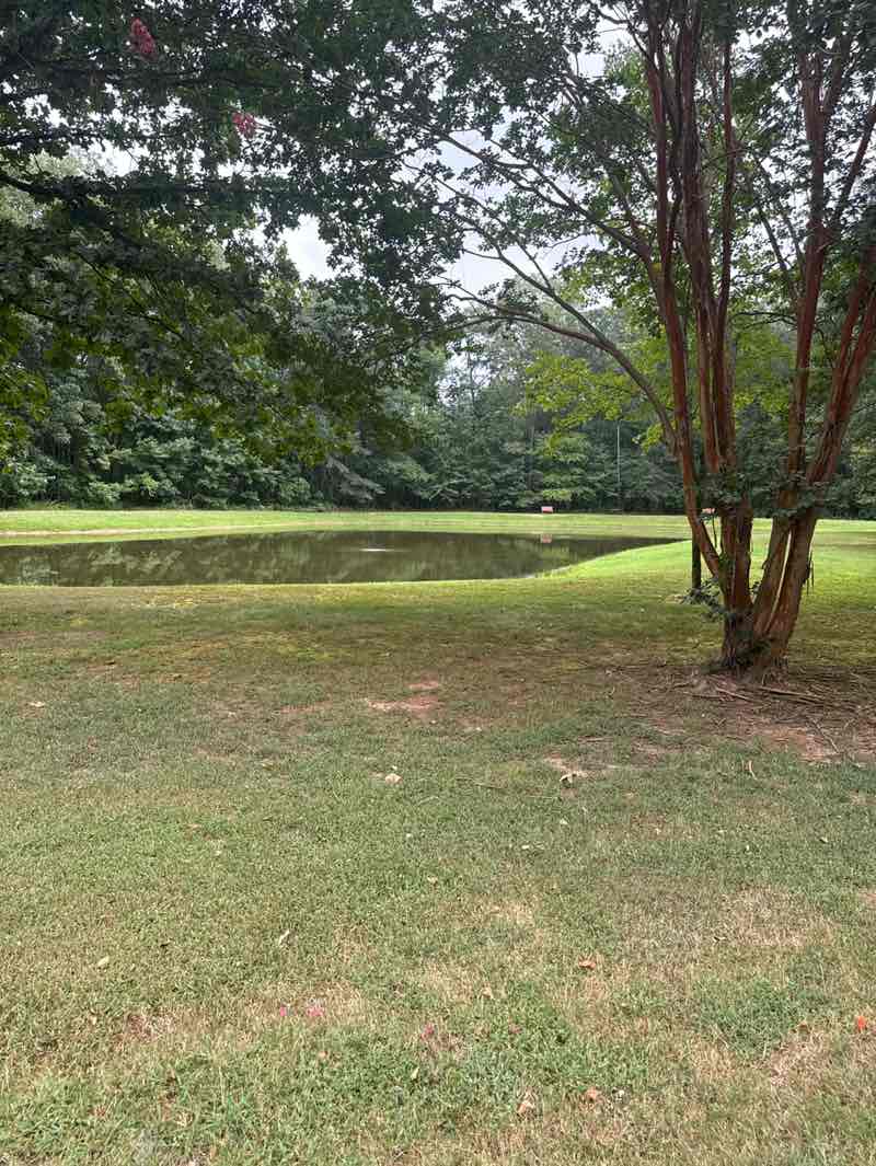 walking near me in Walden Park in autumn