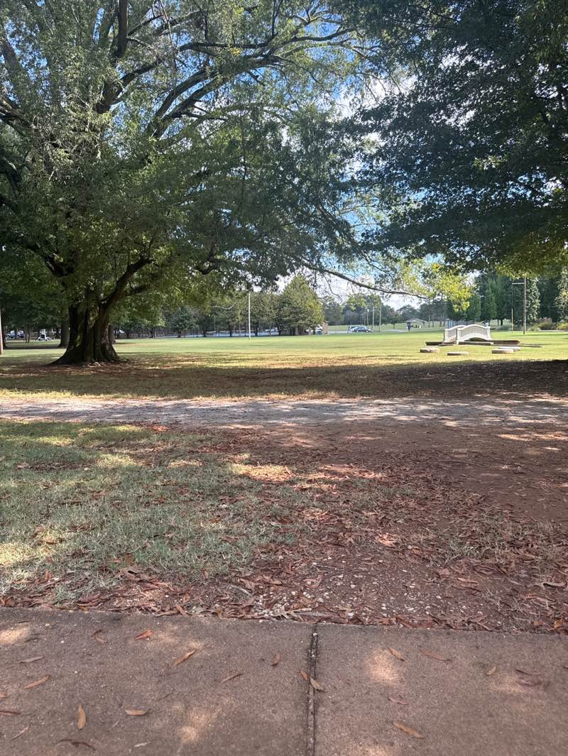 walking near me in Delano Park in autumn