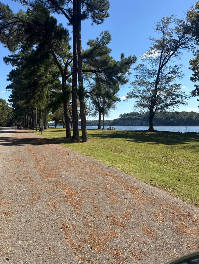 walking near me in McFarland Park in autumn