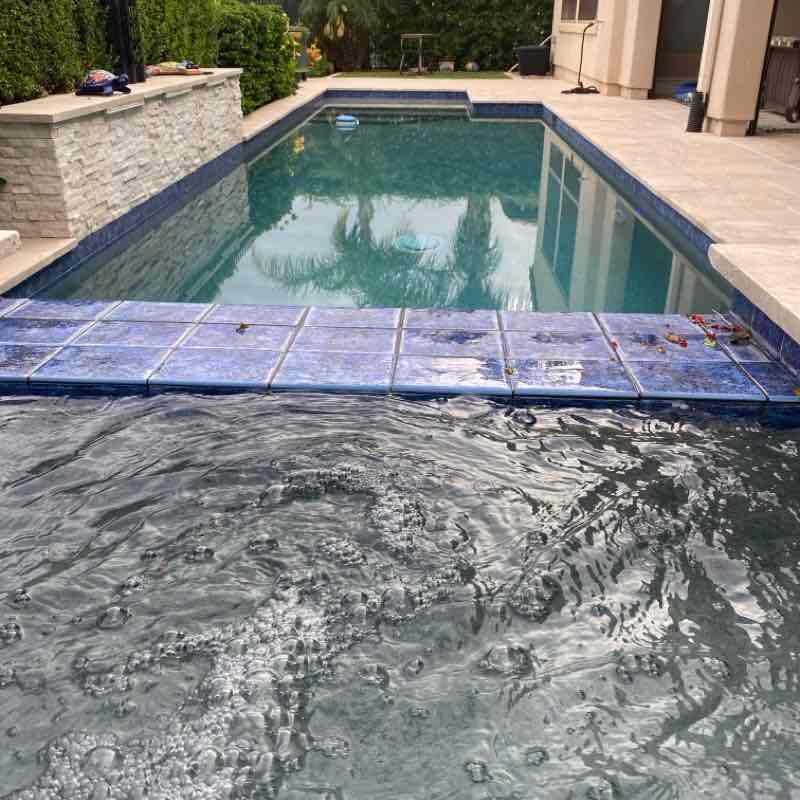 The Walking Club Dave SD post image