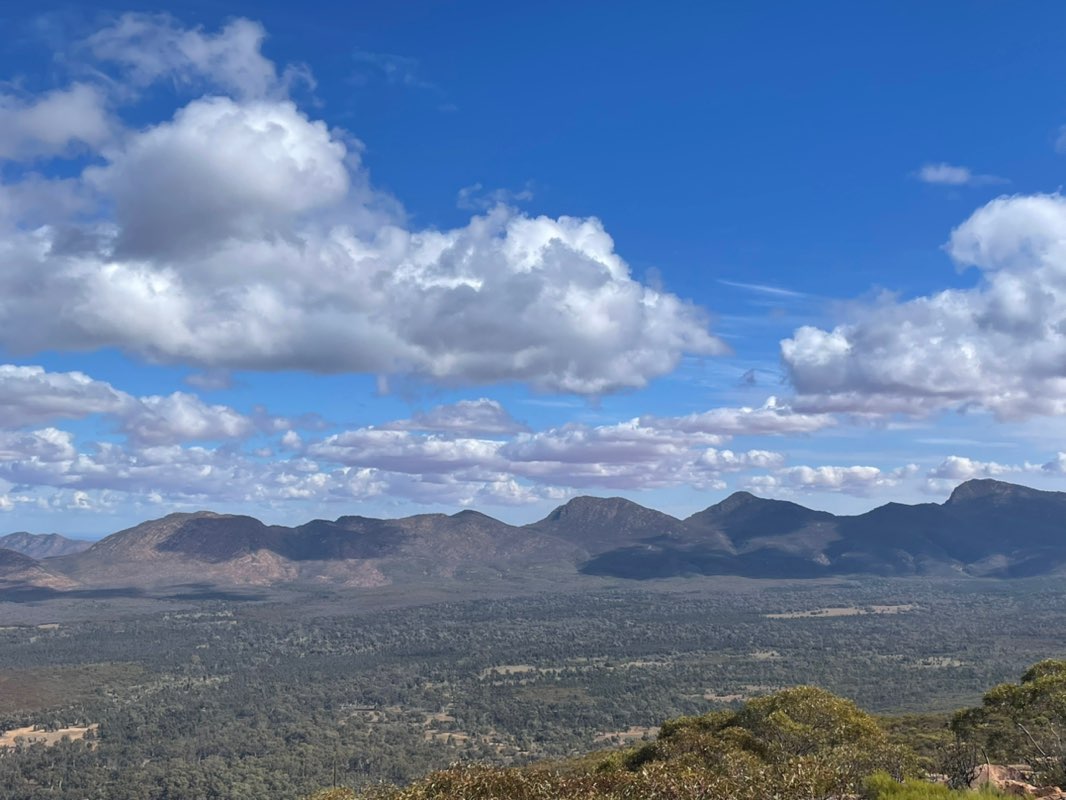 walking near me in Ikara-Flinders Ranges National Park in spring