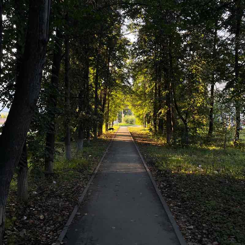 Digital Team Илья post image