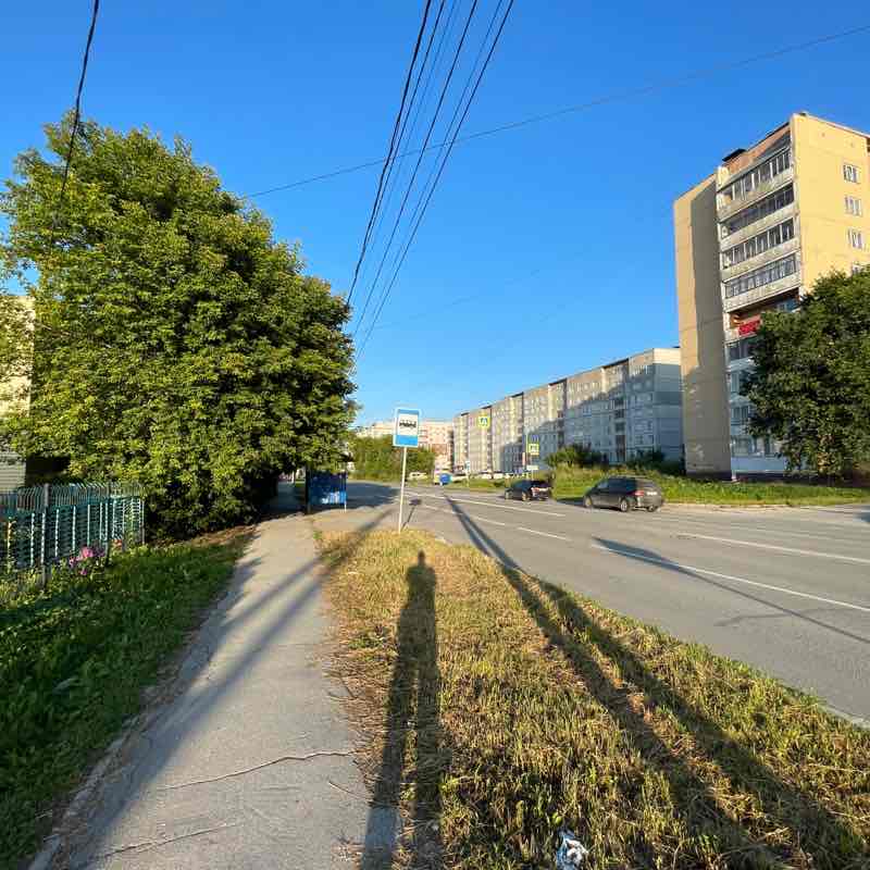 Digital Team Илья post image