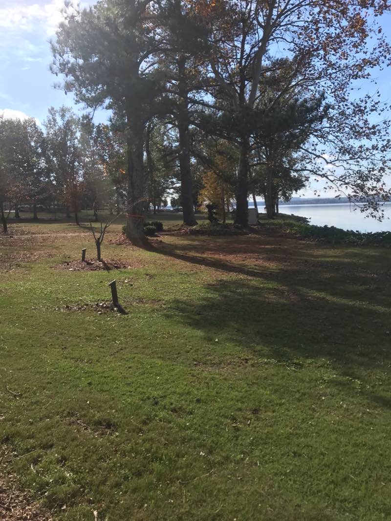 walking near me in Civitan Park in winter