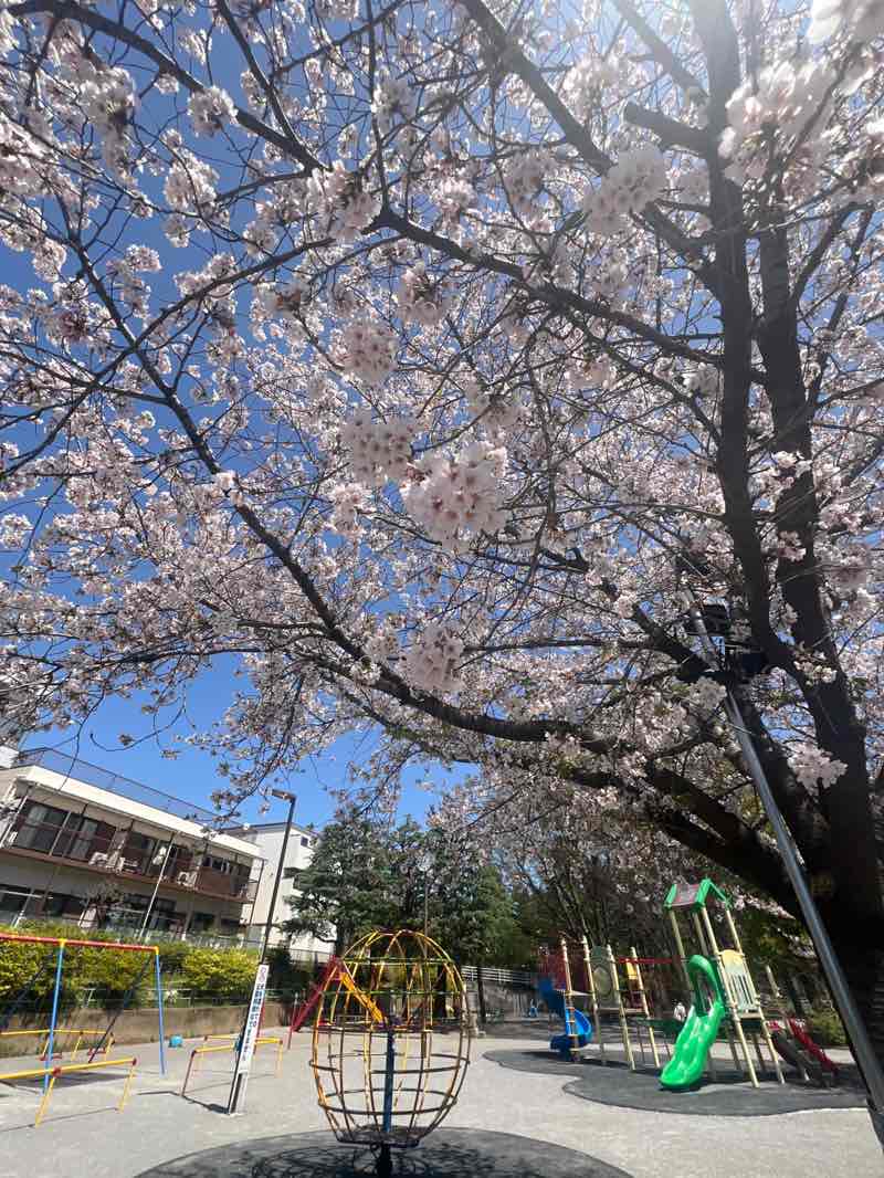 walking near me in 西落合公園 in spring