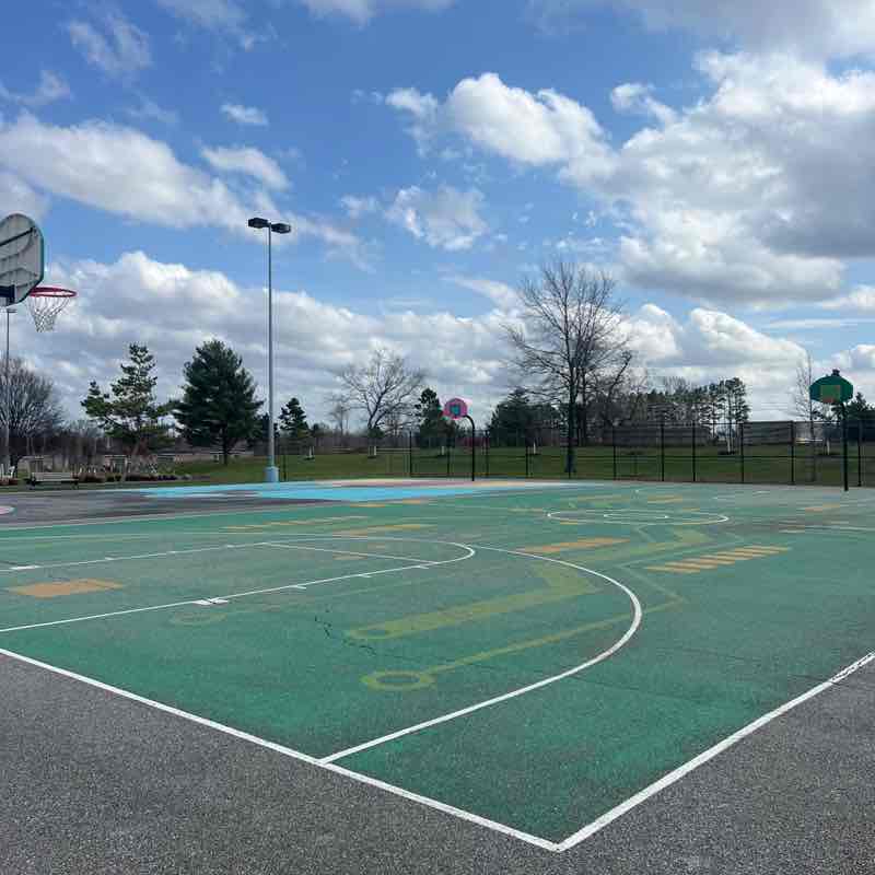 Pacer King Purush@67 post 3