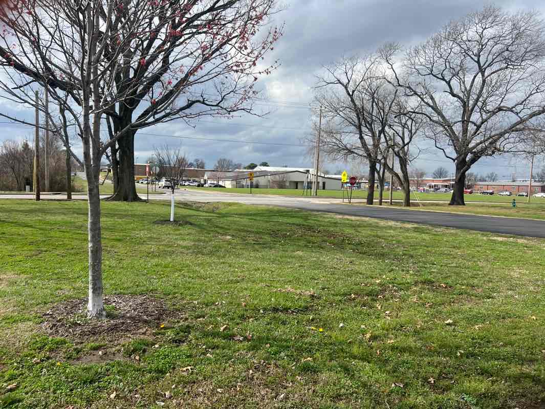 walking near me in Memorial Park in spring