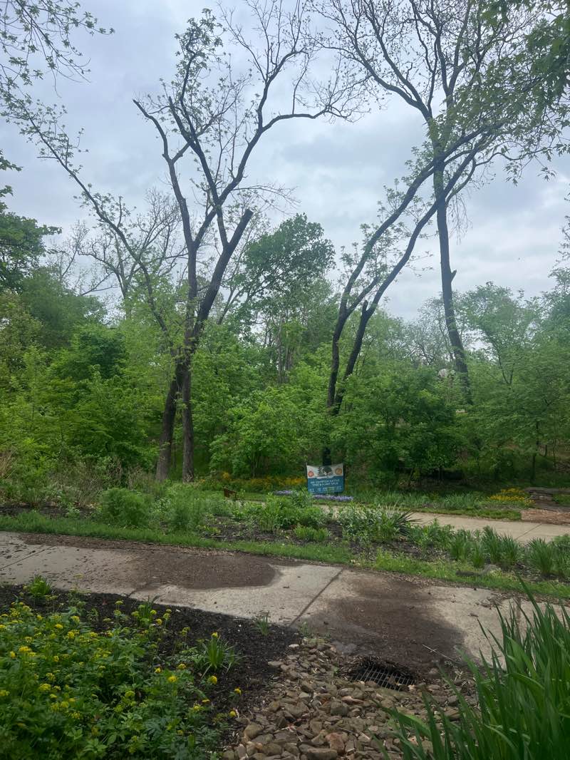 walking near me in Slaughter Pen MTB Park in spring