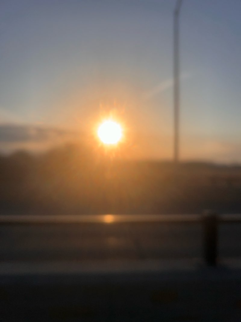 walking near me in Ioway Creek Park in spring