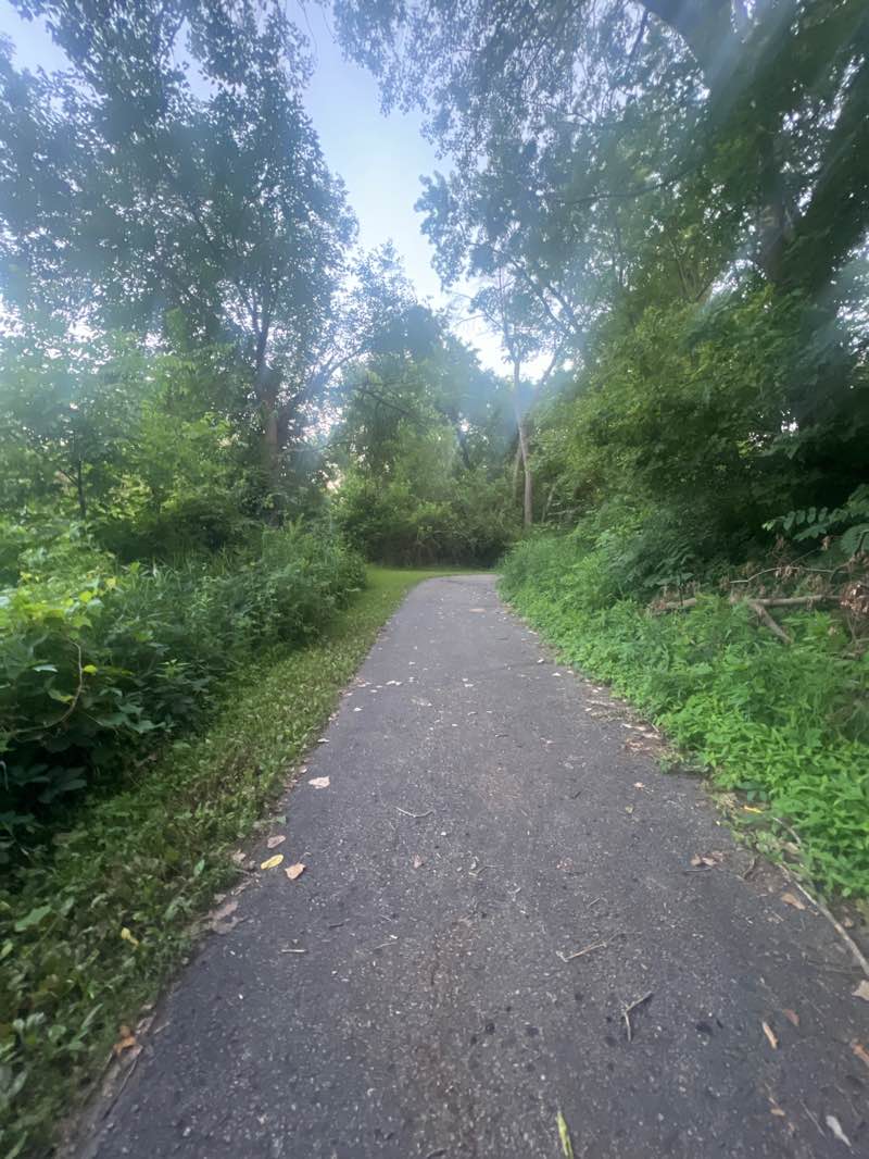 walking near me in Stuart Smith Park in summer