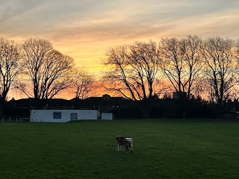 walking near me in Enfield Island Village Play Area in winter