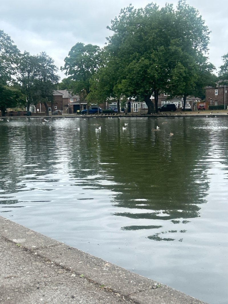 walking near me in Victoria Park in summer