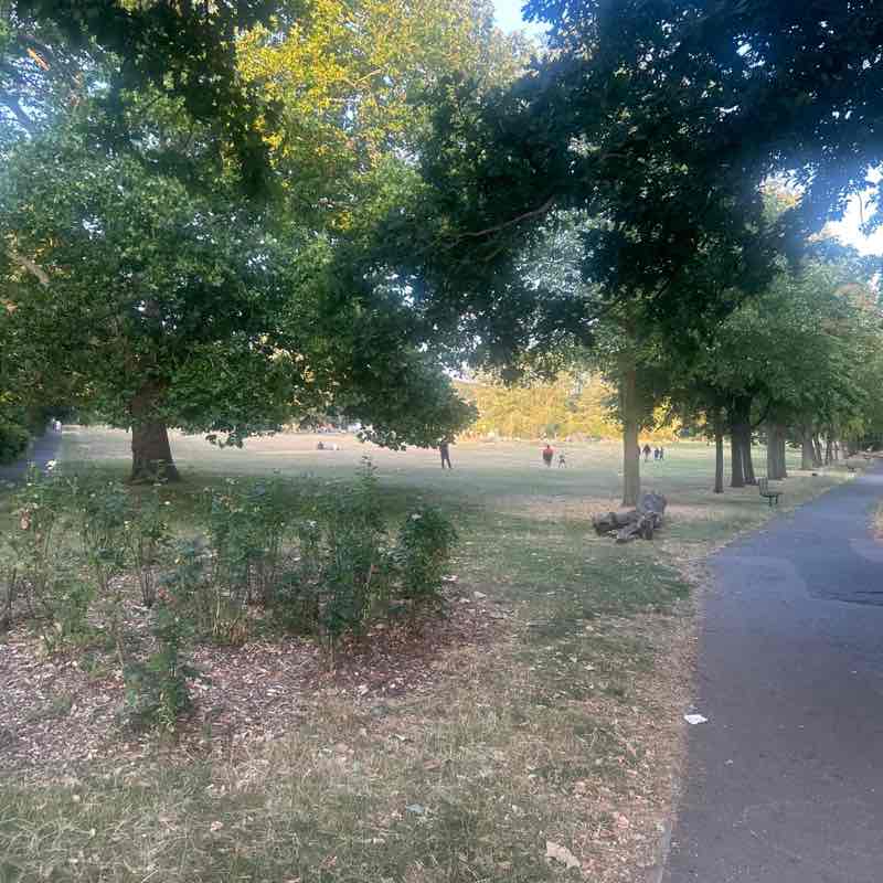 Rugba post 2