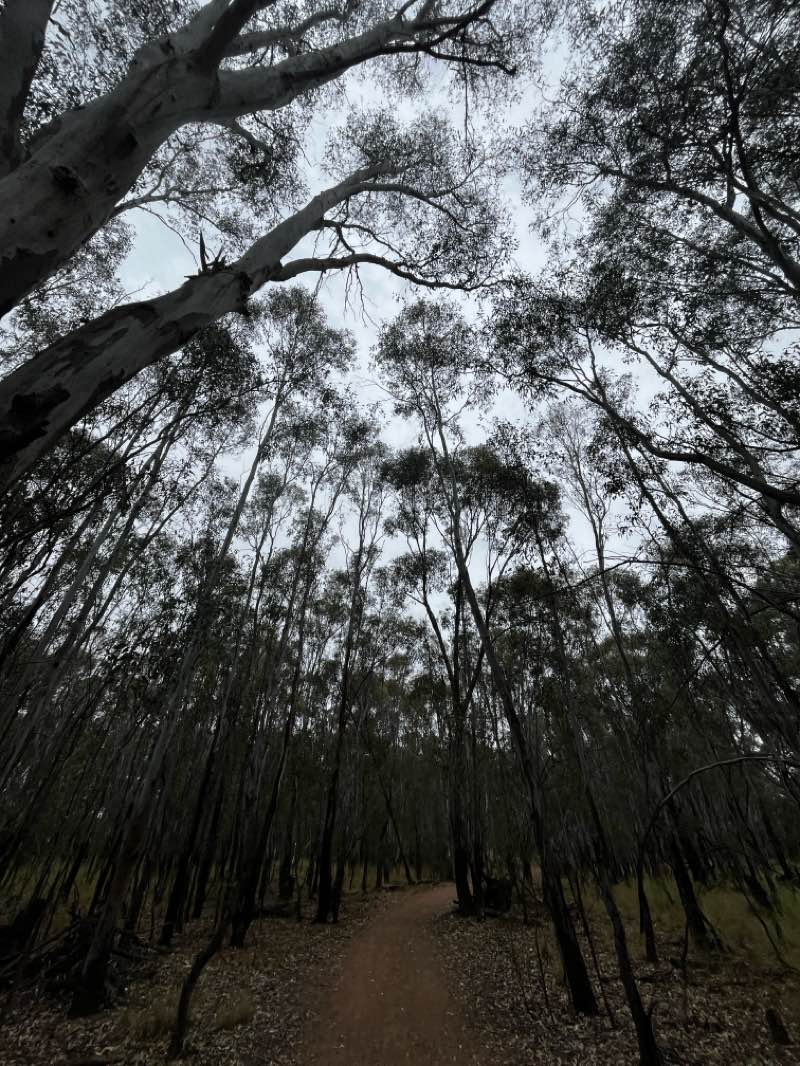 walking near me in Skate Park in summer