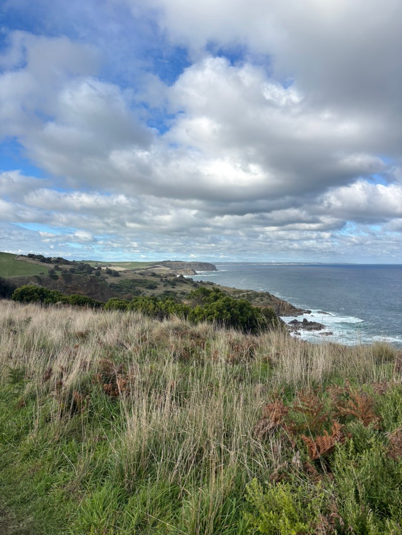 walking near me in Punchbowl Coast Reserve in winter